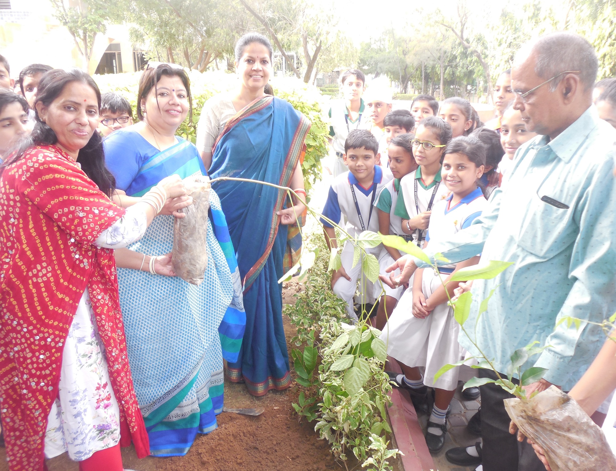 Sanskar School celebrates Jadi Booti Diwas 